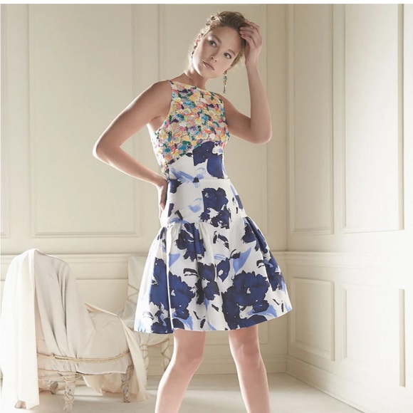 Pics - Picture 13 of 13